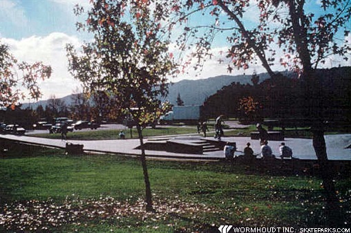 Pleasanton Skate Park