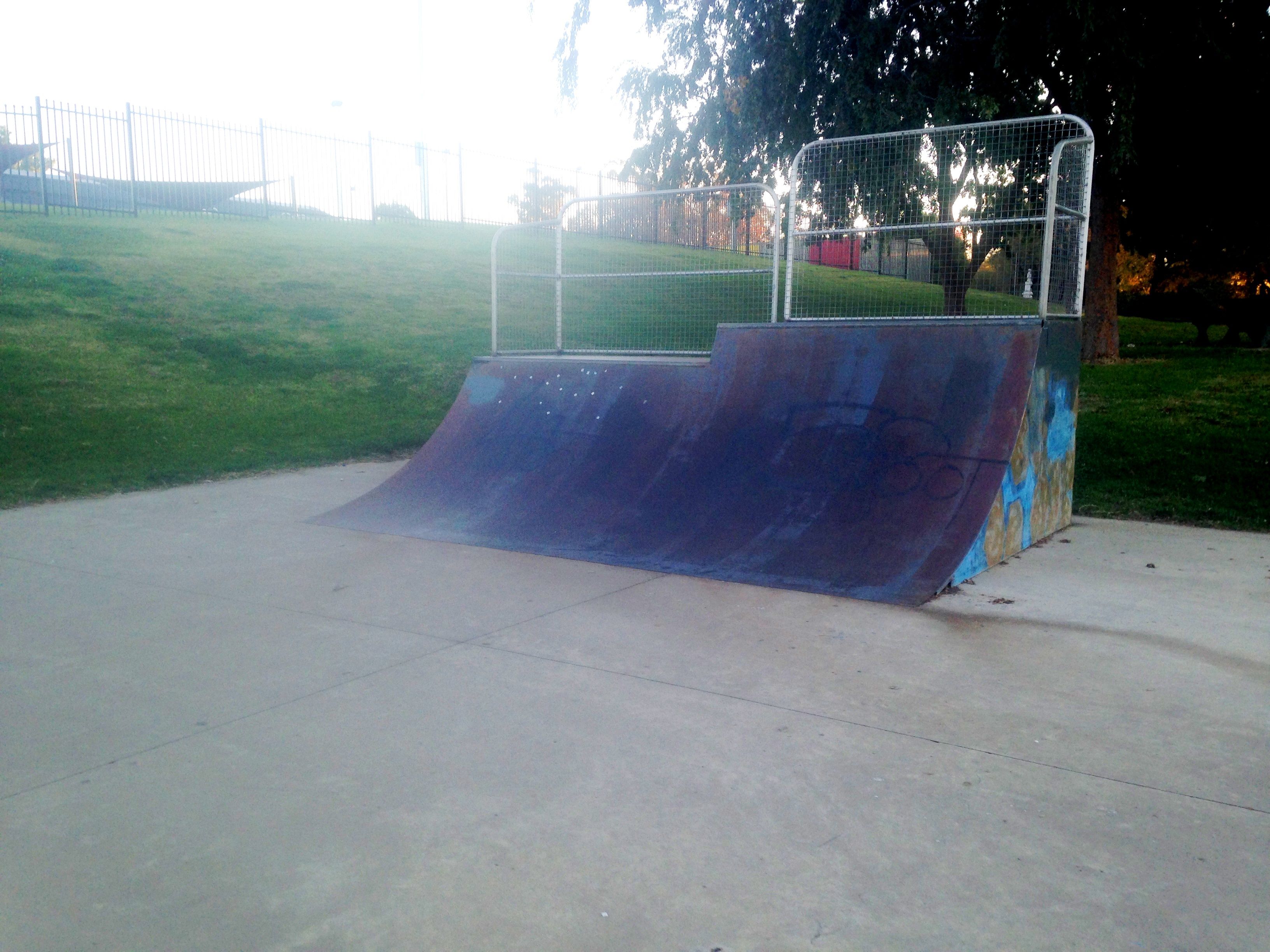 Adelong Skatepark