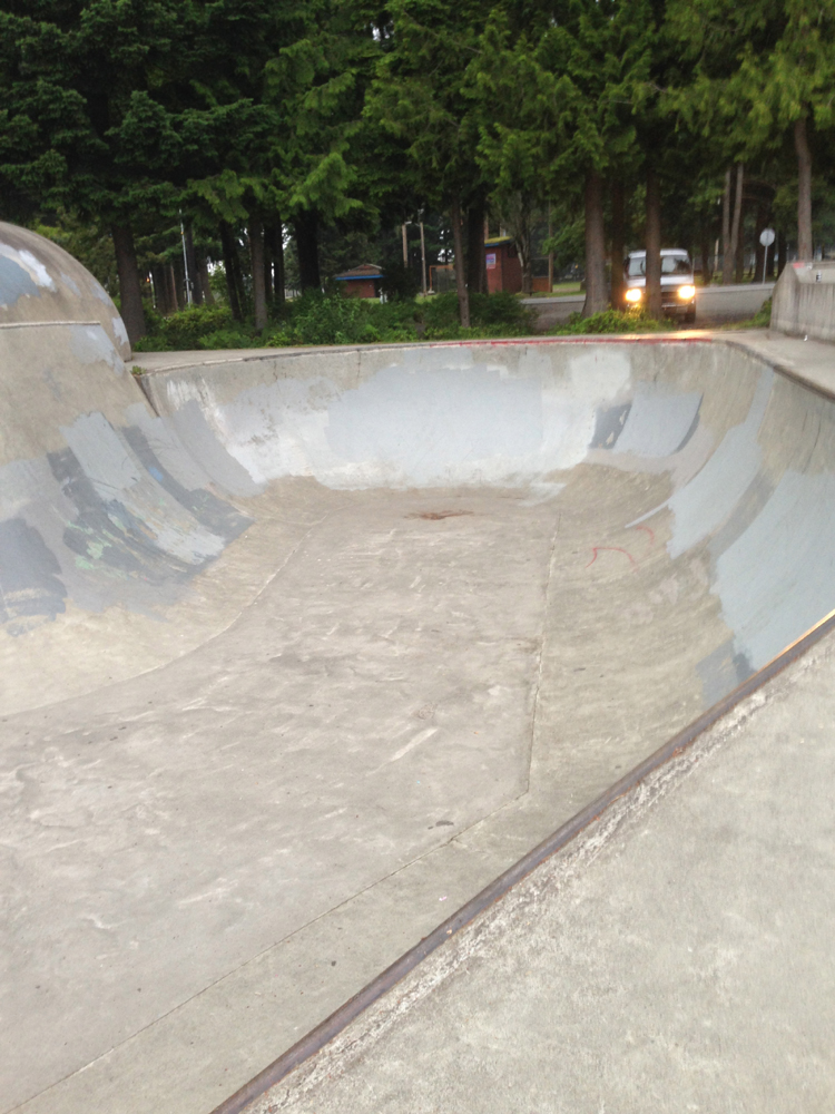 Arlington Skate Park