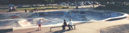 Brookswood Skate park