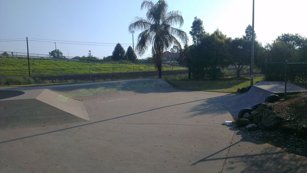Chinchilla Skatepark