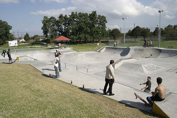 Dulwich Hill Skate Park