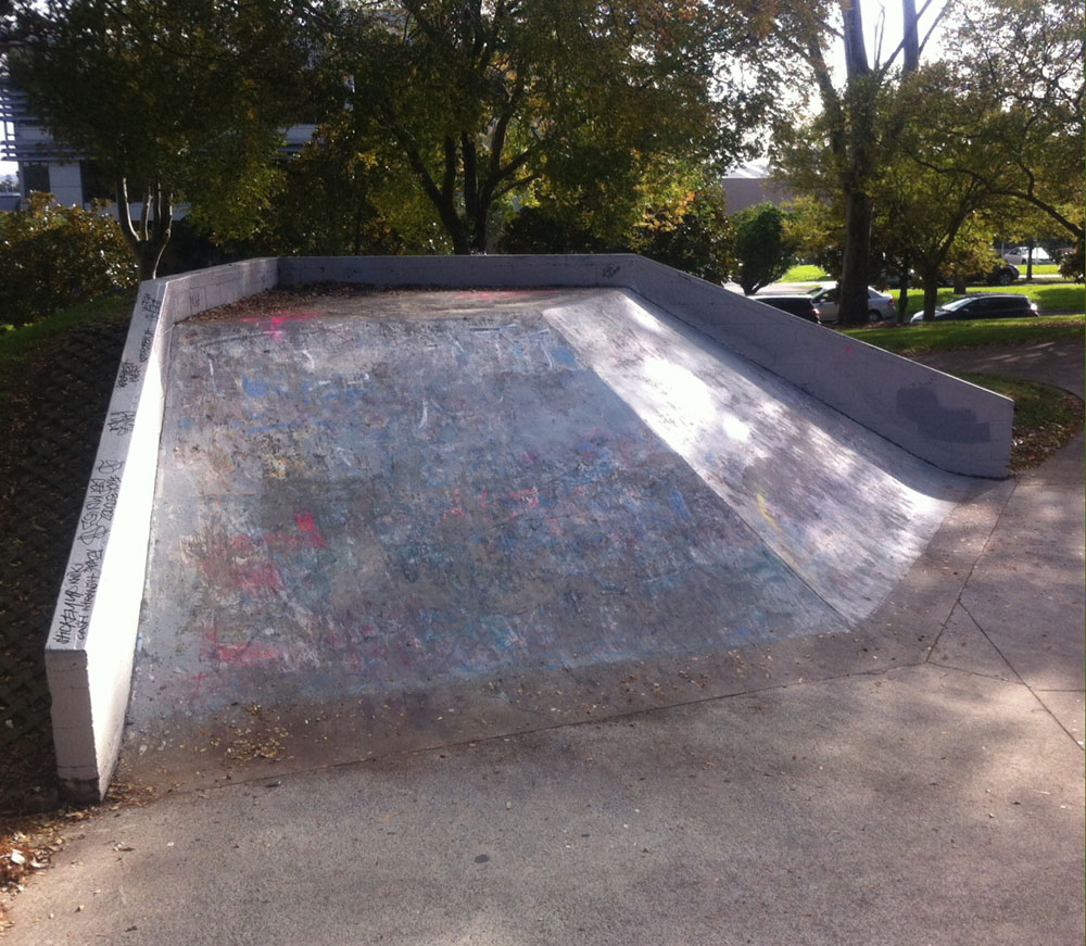 Manukau Skate Park