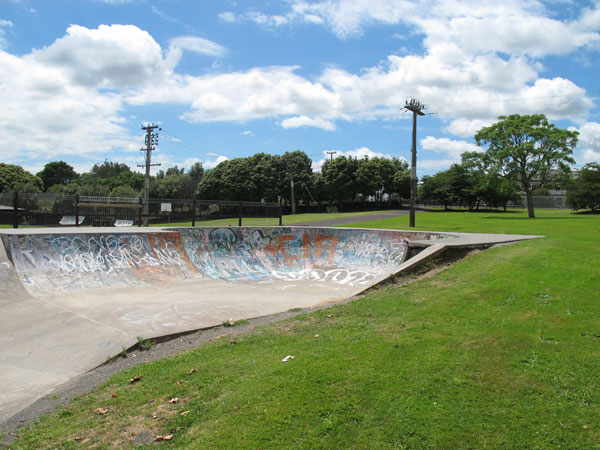 Ngarauwahia Skatepark