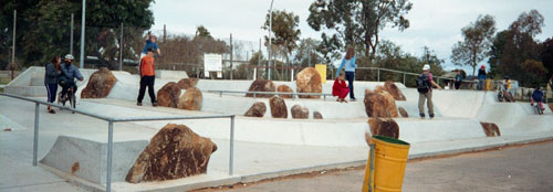 Norseman Skate Park