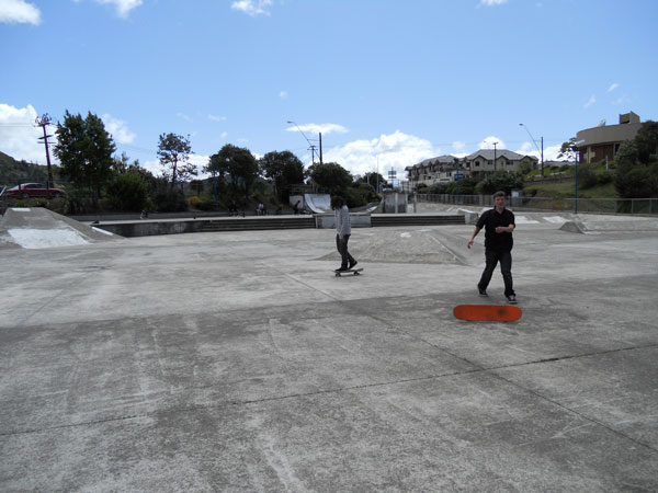 Picton Skatepark