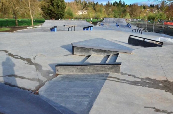 Roxhill Skatepark